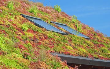 Marshborough living roof systems